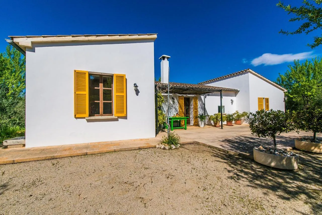 Ideal Property Mallorca - Can Flauta Selva  Selva (Mallorca)